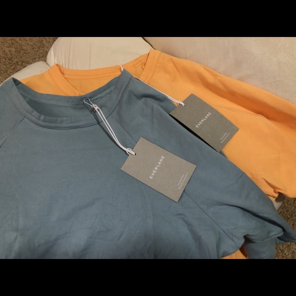 Everlane organic cotton boxy raglan tee bundle